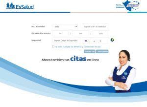 como verificar mi cita en essalud|Cómo consultar y saber mi cita en Essalud de manera。